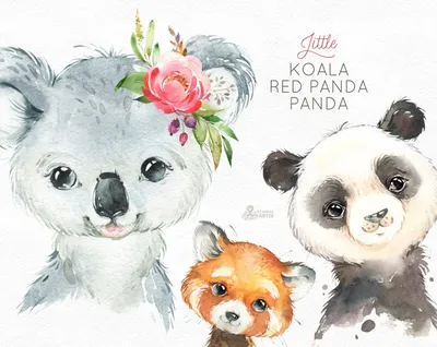 Watercolor panda bear and lovely koala baby seamless pattern. Cute  hand-drawn animals, pink hearts, and green leaves on white background.  Nursery decor, sweet pastel wallpaper, delicate fabric texture Stock  Illustration | Adobe