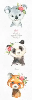 'cute koala bear and panda bear hug and cuddle' Sticker | Spreadshirt