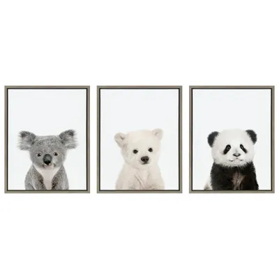 Slothn on branch koala panda bear set icon cute Vector Image