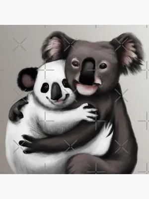 Panda and Koala Hugging Each Other\" Sticker for Sale by Parag-Travels |  Redbubble