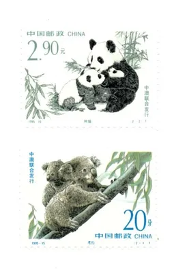 Stupell Indtries Tropical Hibisc Flower Jungle Animals Koala Panda Sloth,11  x 14,Design by Lisa Lane - Walmart.com
