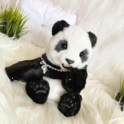 Купить мягкая игрушка Wild republic Красная панда, 17 см 16247, цены на  Мегамаркет