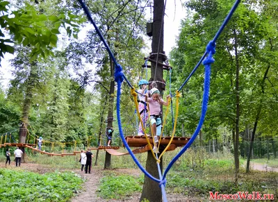 Самые захватывающие веревочные парки Москвы для взрослых и детей