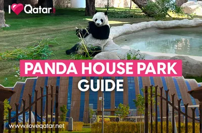 Panda Park Will Be Twice the Size of Yellowstone – National Geographic  Education Blog