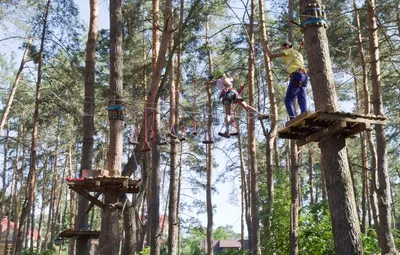 Панда-парк в Городском округе Подольск можно будет посетить летом |  Администрация Городского округа Подольск