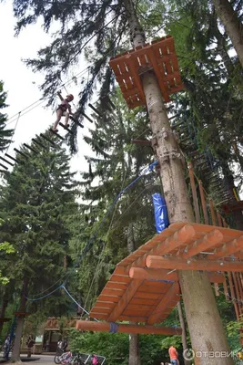 Где провести выходные: пять крупнейших веревочных парков под Москвой -  Российская газета