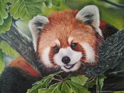 Картина на холсте с подрамником ХитАрт Красная панда; рыжая панда 9 60x80 -  купить по низкой цене в интернет-магазине OZON (686929794)