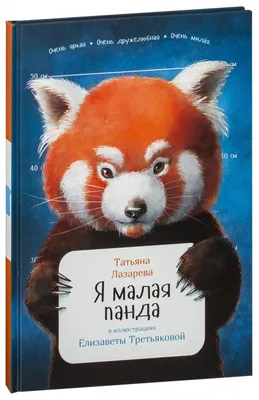 Картина для интерьера Красная панда, рыжая панда (13) 30х40 - купить по  низкой цене в интернет-магазине OZON (998628980)
