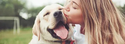 Клещи у собак – как оказать первую помощь, симптомы – ProPlan.ru