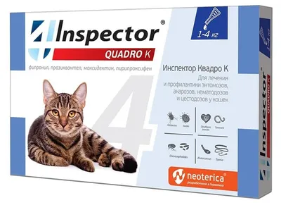 Купить капли COMBO от экто- и эндо-паразитов на холку для кошек до 4 кг в  интернет-магазине Vitomax