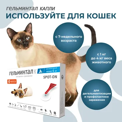 INSPECTOR QUADRO K капли для кошек весом от 4 до 8 кг против внутренних и  внешних паразитов (1 пипетка) купить в интернет-магазине по цене от 643 ₽,  доставка по Москве