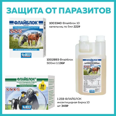 Премикс для лошадей Sport Horse - Horse health line 300 г - ТОО КазВетСнаб