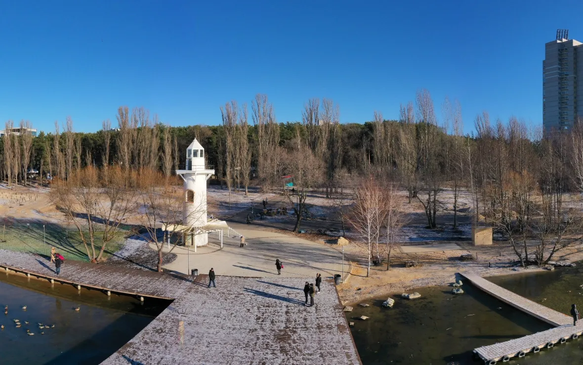 Парк дельфин воронеж аттракционы