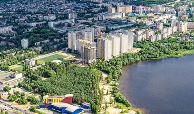 Почему пора начинать инвестировать в парки: воронежский кейс | Бизнес-кейс  на РБК+ Черноземье