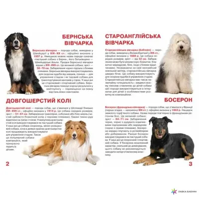 Гав Сухой корм для взрослых собак с курицей и овощами - ZooAlliance.ua