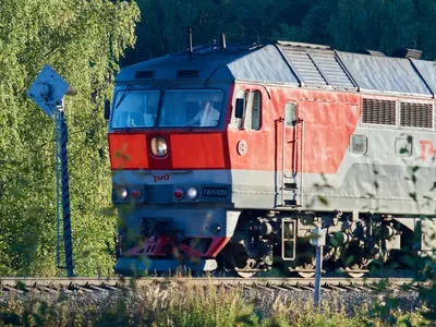 Смерть на переезде: в Запорожской области пассажирский поезд протаранил  легковушку, среди погибших ребенок — ФОТО | Первый запорожский