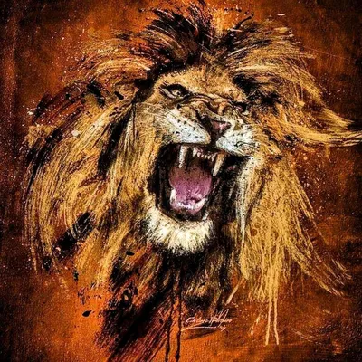 Пасть льва рисунок - 75 фото