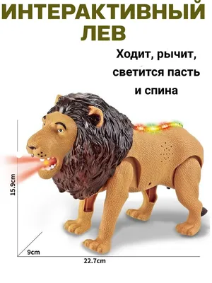 Владислав Гончаров совершил рискованный трюк в Москве: «Я засунул голову в пасть  льва и впервые отпустил руку»