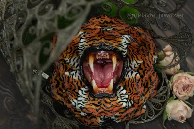 Мощная пасть тигра: картинка в формате png | Пасть тигра Фото №521018  скачать