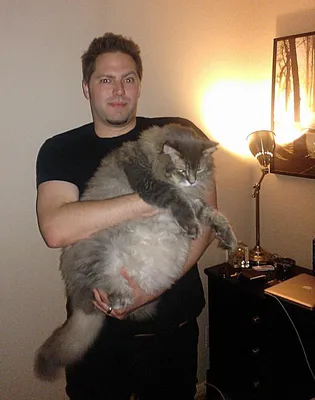 Павел Воля и его кот - 50 фото