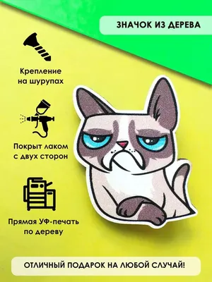 В Москве найден самый грустный кот | Видео | Известия | 08.08.2019