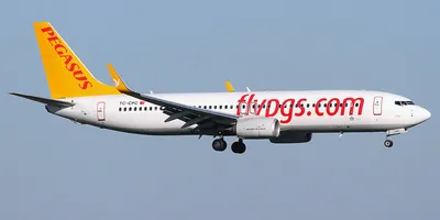 Турецкая авиакомпания Pegasus Airlines получила первый в мире самолет  Airbus A320neo с двигателями CFM