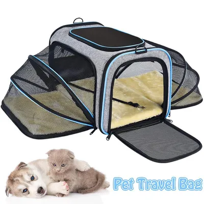 M-Pets (М-Петс) Honey Pet Carrier – Переноска для котов и собак мелких  пород - Купить онлайн, цена и отзывы на E-ZOO