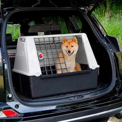Ferplast (Ферпласт) Atlas Car 80 - Переноска для перевозки собак в  автомобиле весом до 20 кг - Купить онлайн, цена и отзывы на E-ZOO