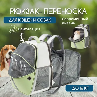 Сумка переноска рюкзак для собак, кошек, грызунов с вентиляцией складной -  купить с доставкой по выгодным ценам в интернет-магазине OZON (1034262547)