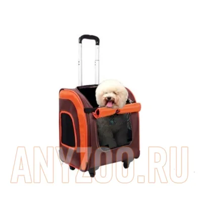 Купить Ibiyaya Liso Ибияя Лисо сумка-чемодан для перевозки собак и кошек до  10 кг с доставкой в интернет магазине Москвы