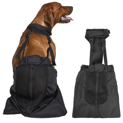 Купить Регулируемая сумка для переноски собак, дышащая сумка для прогулок с  парализованным домашним животным, сумка для переноски на задние лапы | Joom