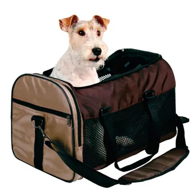 Как подобрать контейнер или сумку-переноску для перевозки собаки?