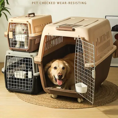 Клетки для транспортировки собак купить в Новосибирске в интернет-магазине  «Мокрый нос» с доставкой