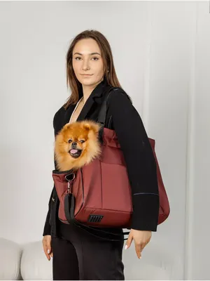 Переноска для собак и кошек, сумка для животных с принтом купить по низким  ценам в интернет-магазине Uzum (135160)