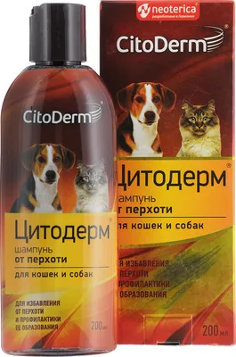 ЦИТОДЕРМ шампунь от перхоти для собак и кошек (200 мл) купить в  интернет-магазине по цене от 572 ₽, доставка по Москве