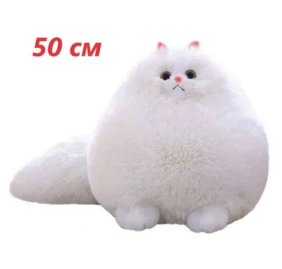Персидский белый кот стоковое фото. изображение насчитывающей мягко -  106972070