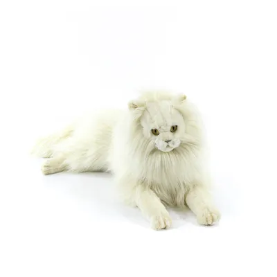 Белый персидский кот » ImagesBase - Обои для рабочего стола