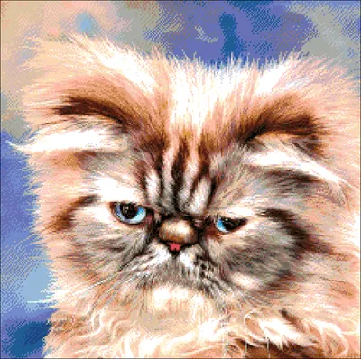 AAAA-NK479-100x125 Персидский кот на городской улице Животные Кошка 100х125  Раскраска картина по номерам на холсте недорого купить в интернет магазине  в Ростове-на-Дону , цена, отзывы, фото