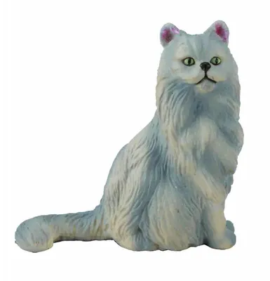 Персидский кот натуральное фото» — создано в Шедевруме
