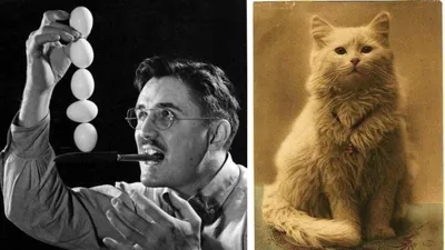 Самые первые фотографии котов, сделанных ещё в XIX веке • Кошки среди людей