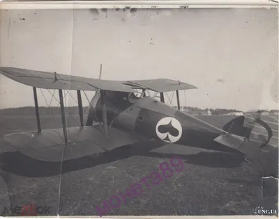 Самолеты и пилоты начала 20-го века