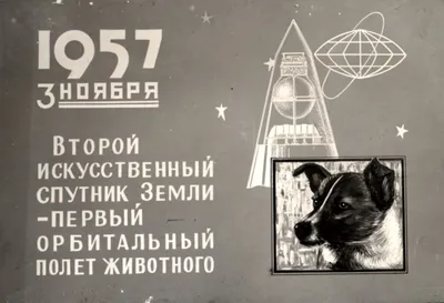 Плакат Космос купить по выгодной цене в интернет-магазине OZON (842416671)