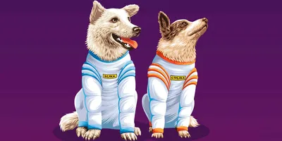 Бессловесные герои: животные в космосе