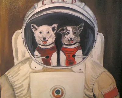 Перегревались и взрывались: эти животные-космонавты закончили хуже, чем  Белка и Стрелка | Москва | ФедералПресс