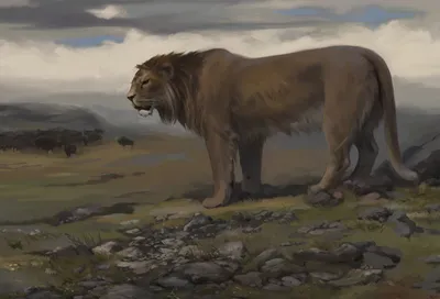 В Красноярске на стройке нашли череп пещерного льва
