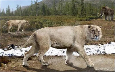 Реконструкция внешнего вида пещерного льва, Животные, Памятники, Москва