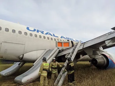 Драка пилотов сорвала рейс Париж-Москва :: Новости :: ТВ Центр
