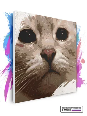 Картина по номерам Плачущий кот, 40 х 40 см - купить с доставкой по  выгодным ценам в интернет-магазине OZON (256963208)