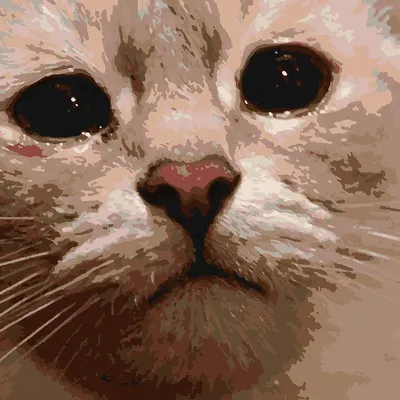 Купить картина по номерам Красиво Красим Плачущий кот, 60 х 60 см, цены на  Мегамаркет | Артикул: 600004321647