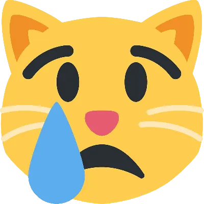 Фото: грустный кот с необычными ушами стал звездой Сети — 13.12.2019 — В  мире на РЕН ТВ
